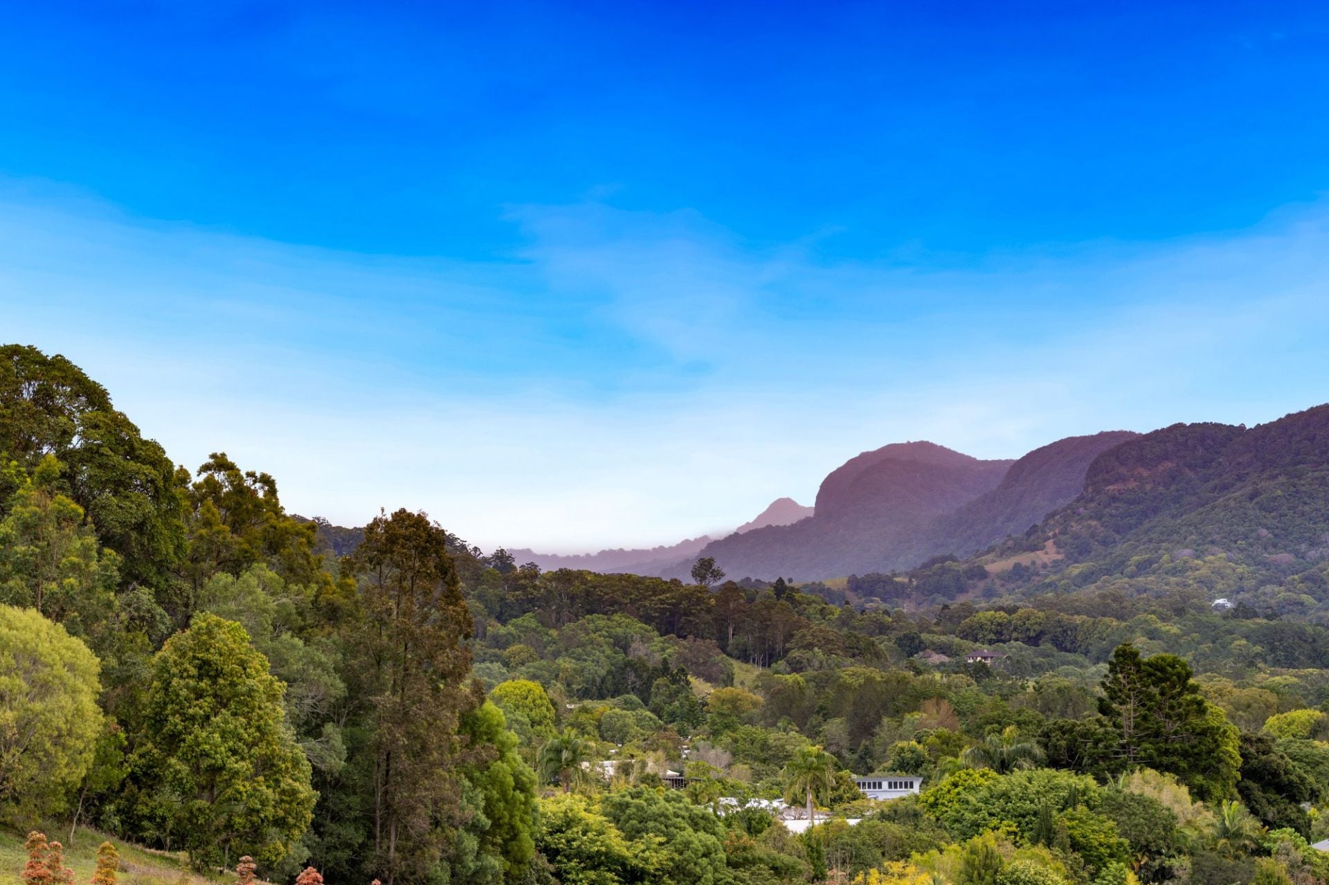 $ 1,725,000, Currumbin Valley - Thumbnail 4
