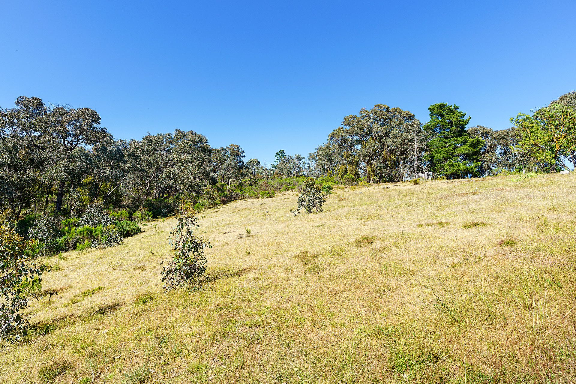 30 Archers Road, Chewton - Thumbnail 7