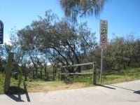 13 Bermagui Crescent BUDDINA QLD, Buddina - Thumbnail 5