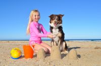 69 Mason Court Noosaville QLD, Noosaville - Thumbnail 6