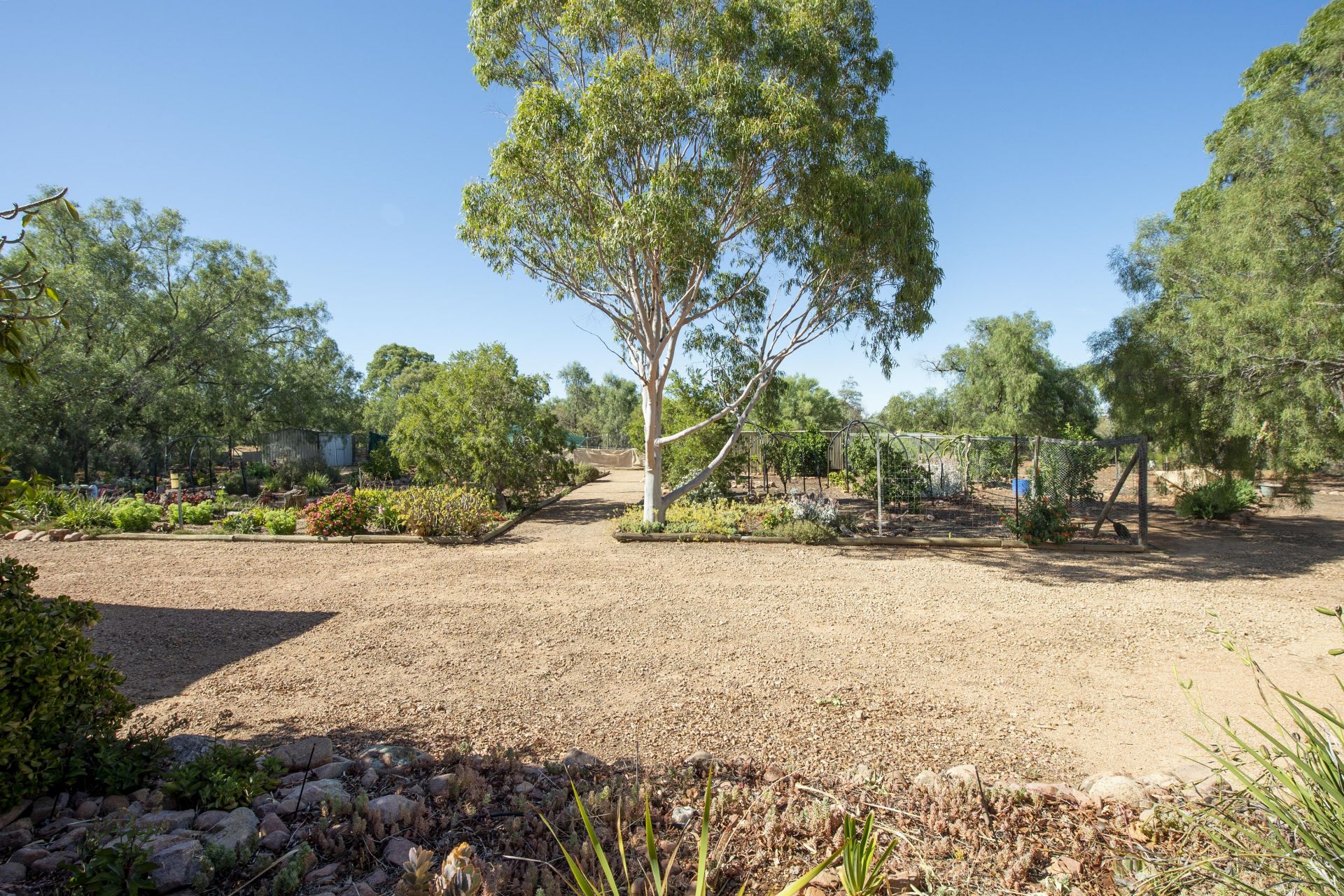 47 Scenic Drive, Napperby Blights Real Estate