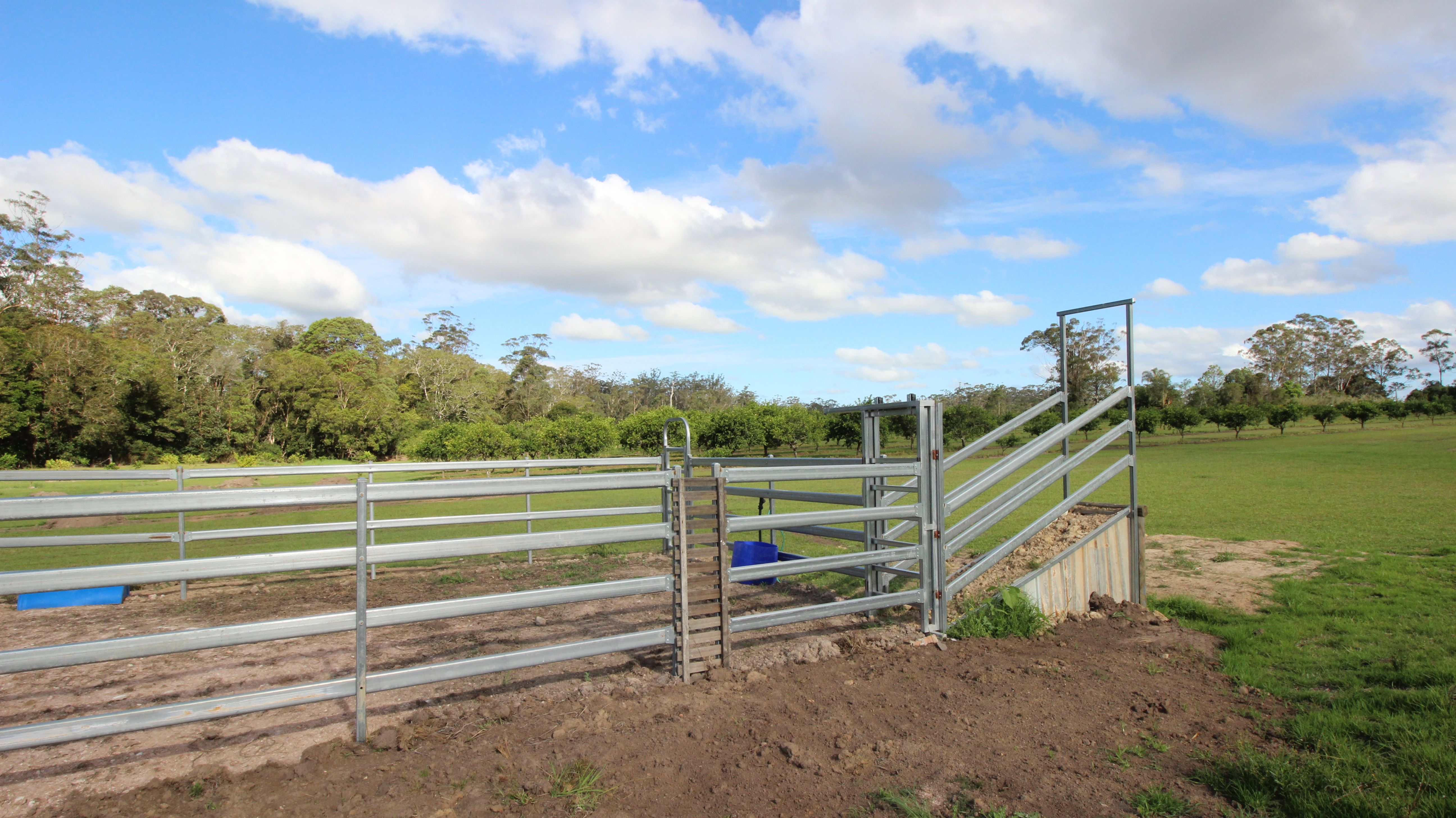 1252 Collombatti Rd, COLLOMBATTI NSW 2440