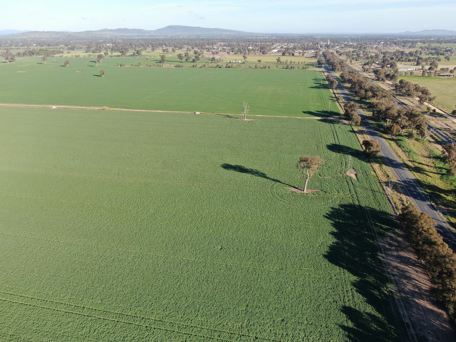 Olympic Highway, Culcairn, Culcairn - Thumbnail 7