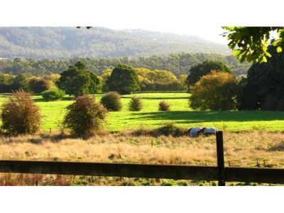 4
 
 
 
  
 
 
 1
 
 
 
  
 
 
 2
 
 
 
 
 
 
 
 51 Hamilton Street, LATROBE TAS 7307, Latrobe - Thumbnail 3