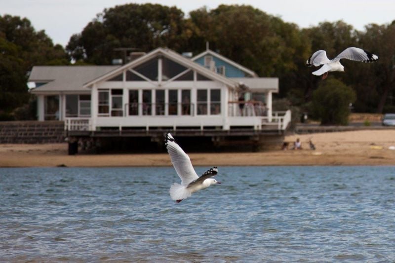 2/119 Hitchcock Avenue Barwon Heads VIC, Barwon Heads - Thumbnail 6