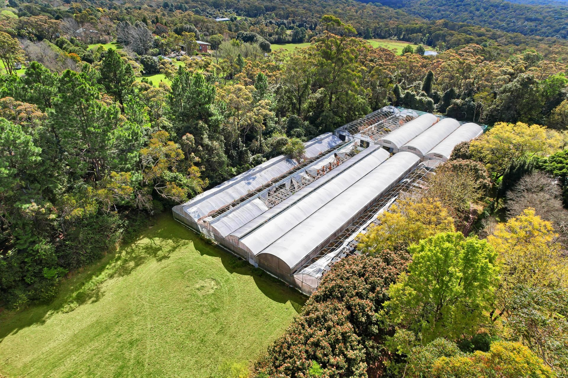 Real Estate For Sale 1626 Wisemans Ferry Road Central Mangrove , NSW