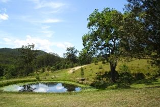 Lot 4 Armidale Road, BELLBROOK NSW 2440