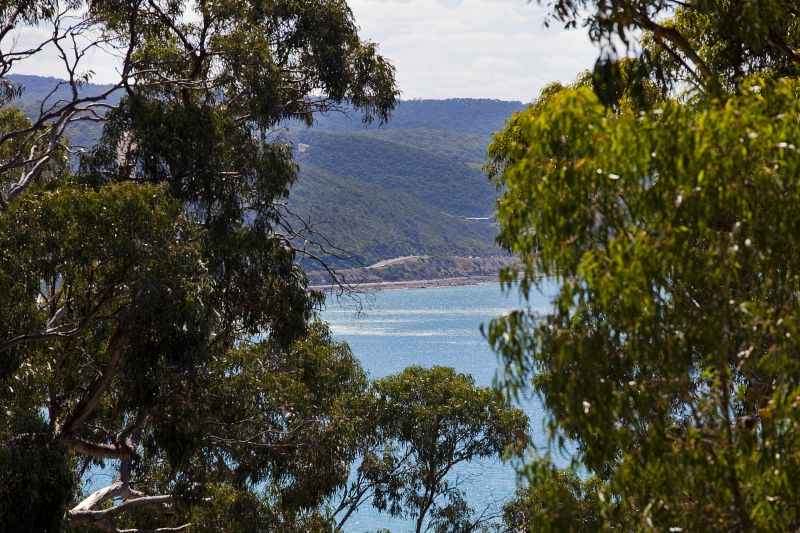 34A Charles Street, Lorne, VIC, Lorne - Thumbnail 7