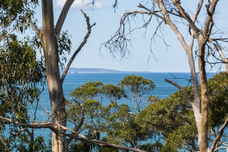 132 Smith Street, Lorne, VIC, Lorne - Thumbnail 2