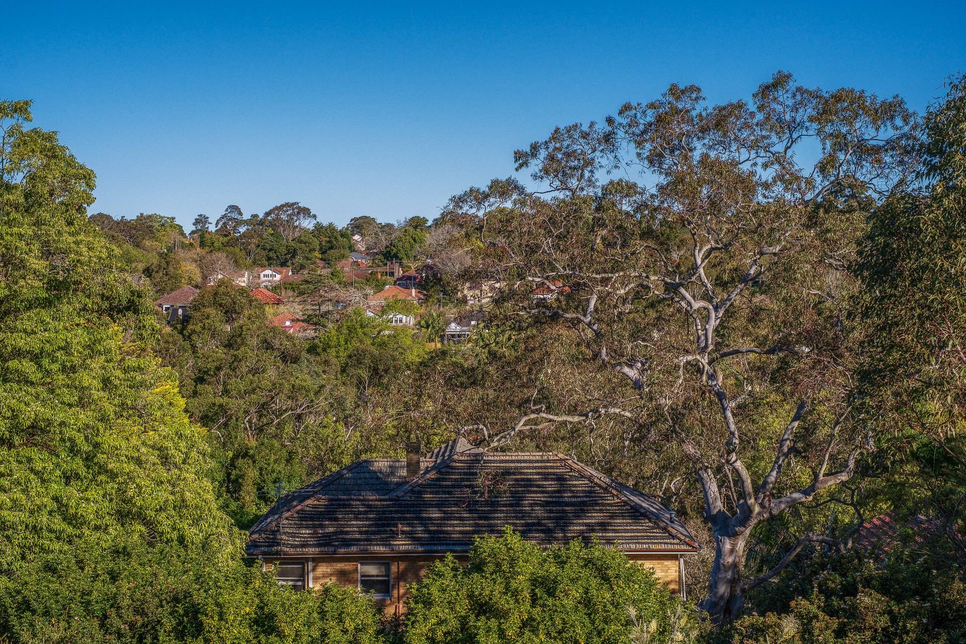 19 Carnarvon Road, ROSEVILLE McConnell Bourn Pty Ltd