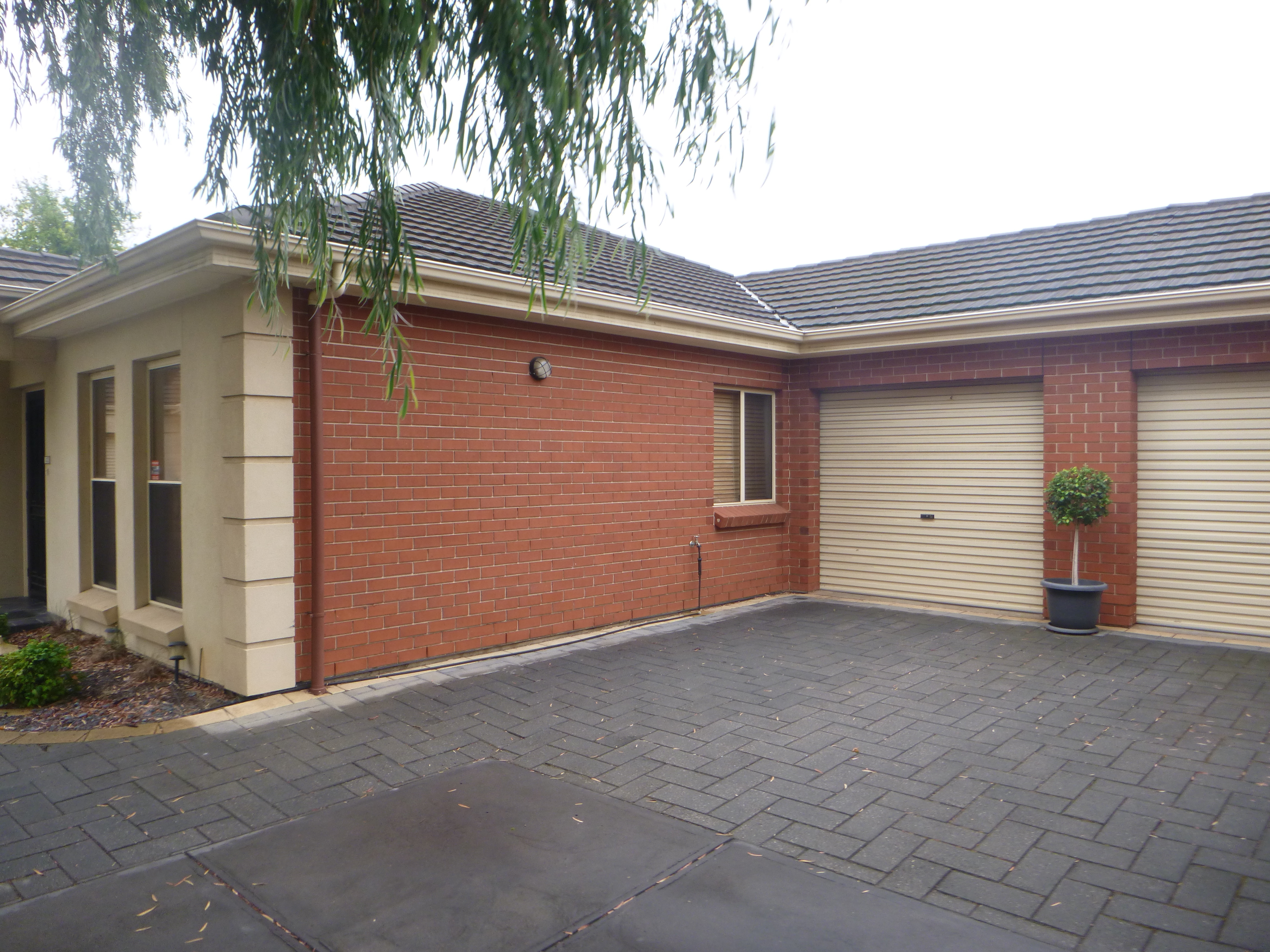 3/19 Cross Street Lockleys 5032