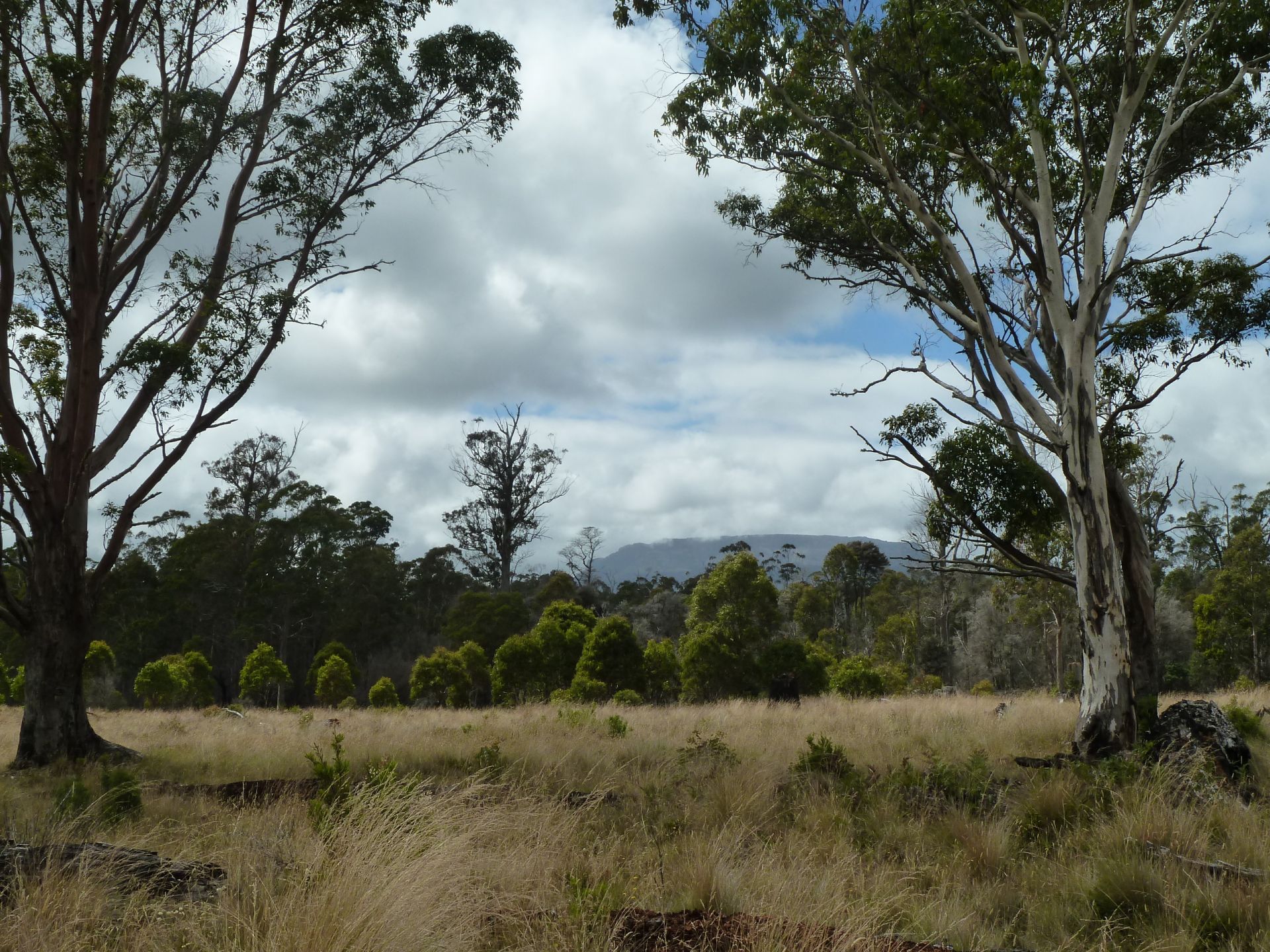 560 Gads Hill Road LIENA, Liena - Thumbnail 2