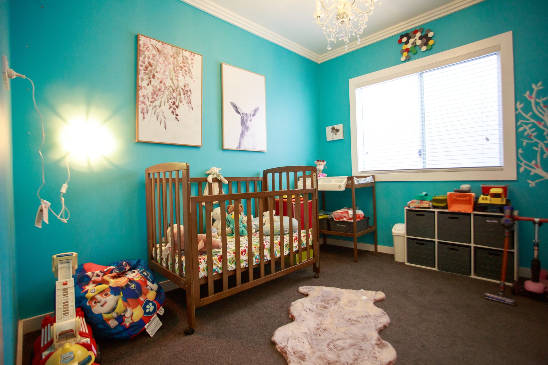 54 Fanning Street, TEMPE, Tempe - Thumbnail 5