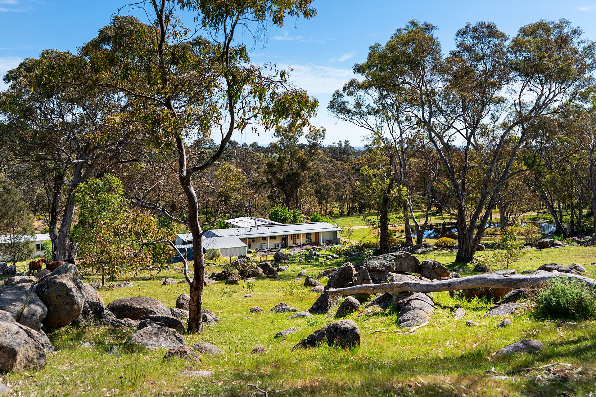 396 Bridgewater Maldon Road, Maldon - Thumbnail 4