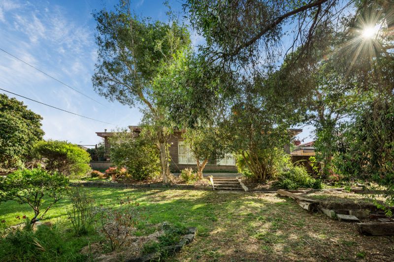 19 Alma Street, Lower Plenty - Thumbnail 2