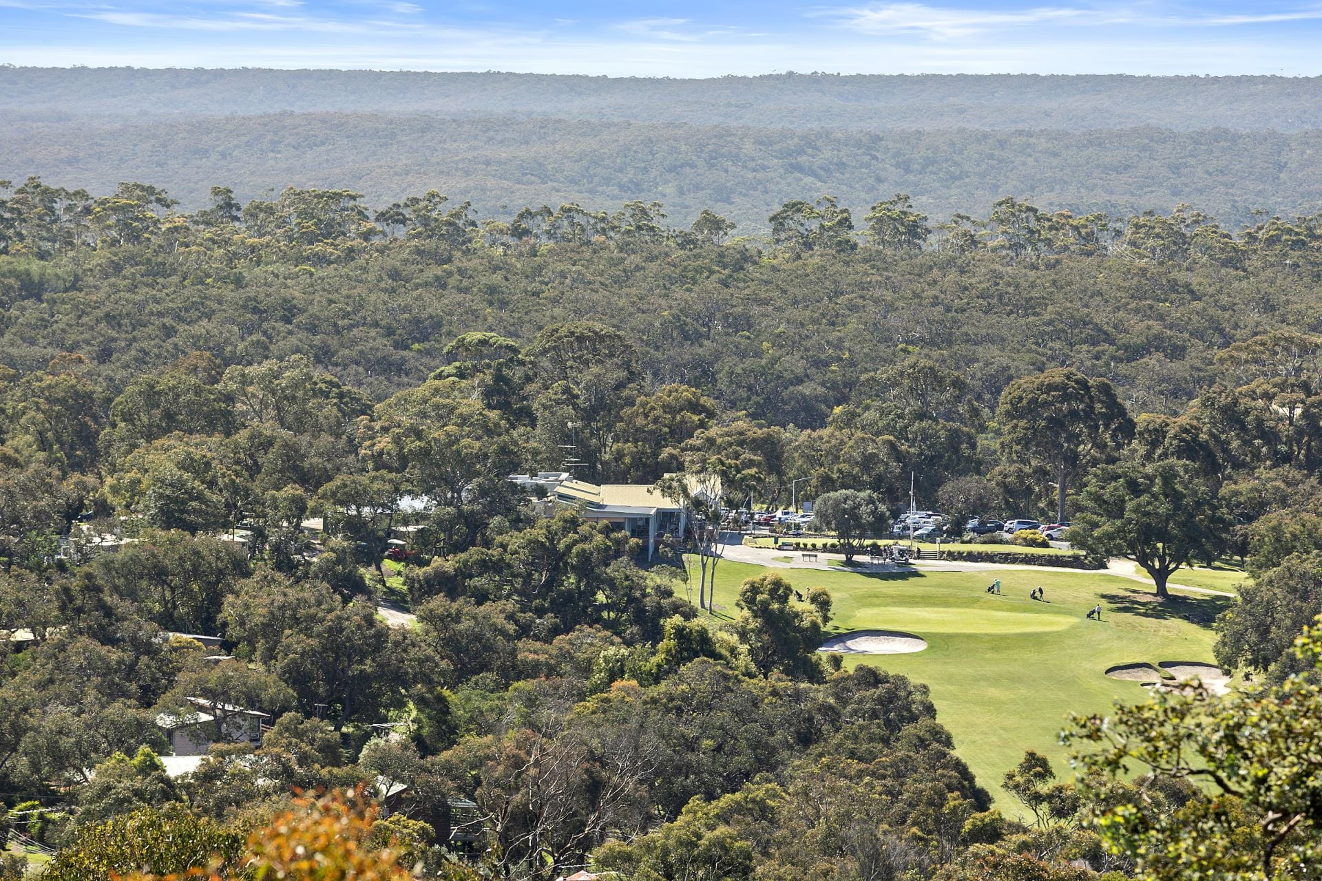 42 Belton Street, Anglesea - Thumbnail 5