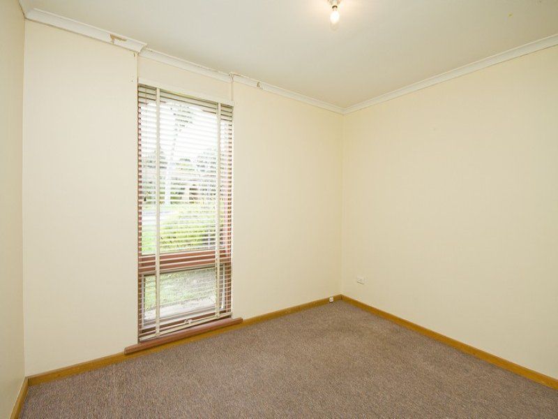 20 Andrea Street Highbury 5089