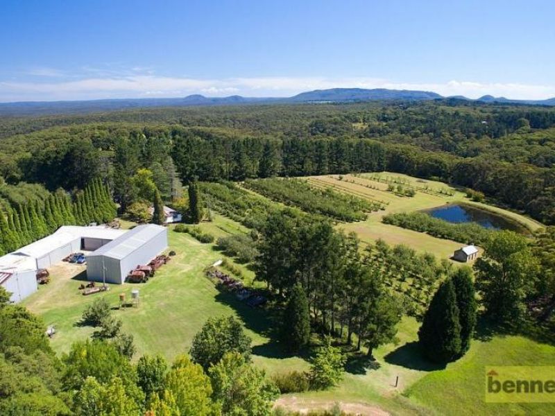 BILPIN, NSW, Bilpin - Thumbnail 5