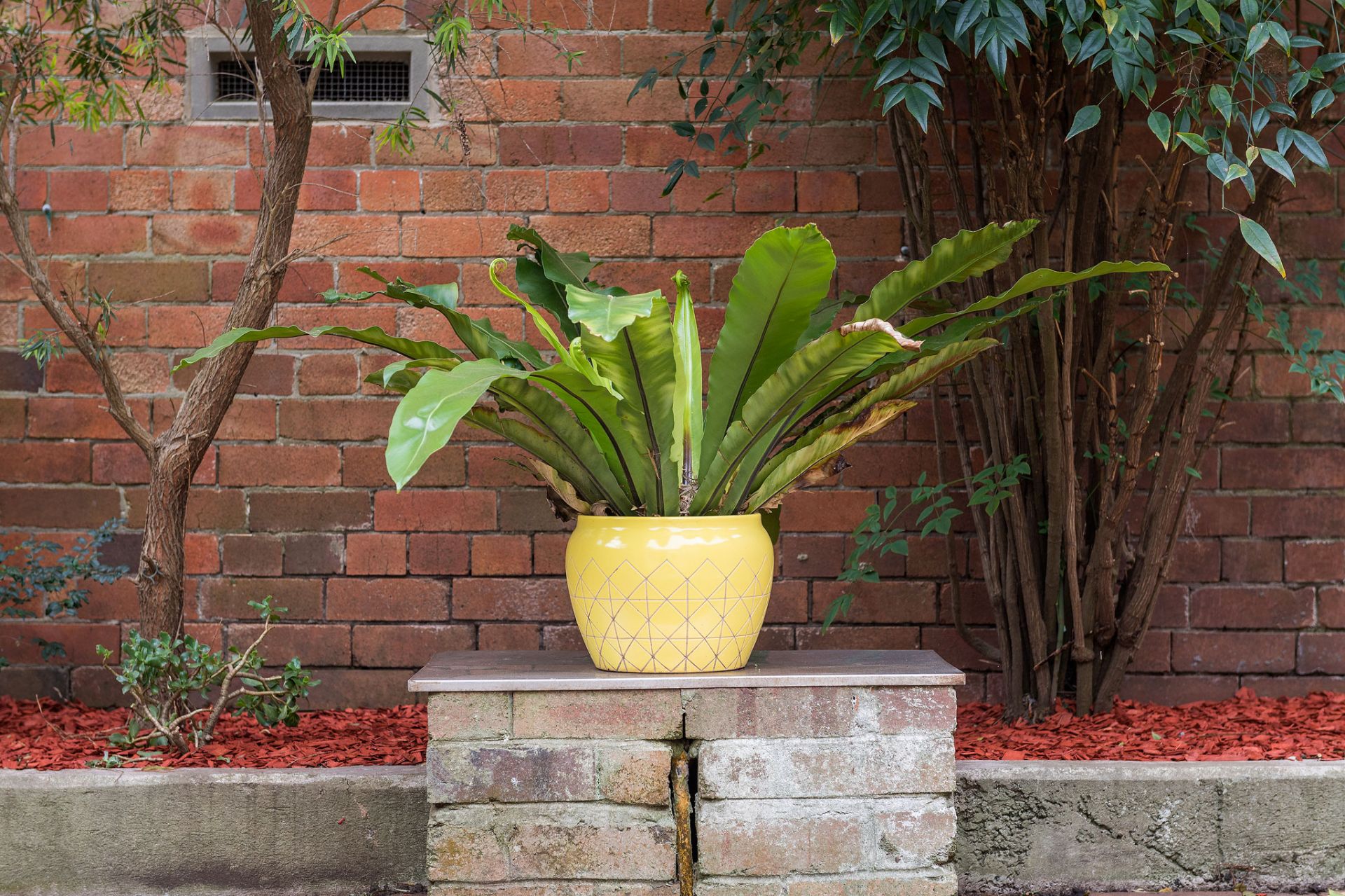 Sold - Great Looks, Character and Lifestyle