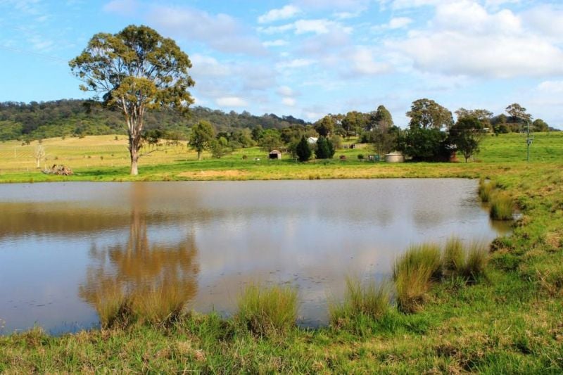 235 Finns Road, Menangle, Menangle - Thumbnail 6