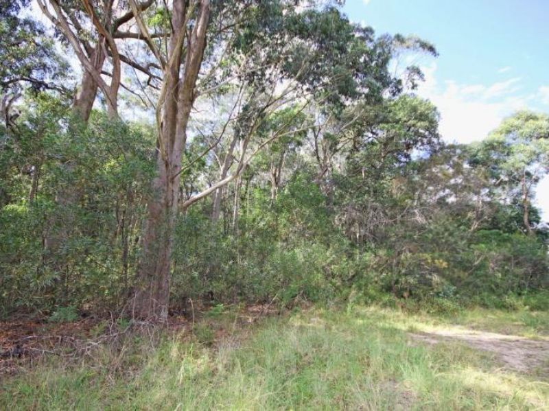 131 Burralow Road, Kurrajong Heights - Thumbnail 3