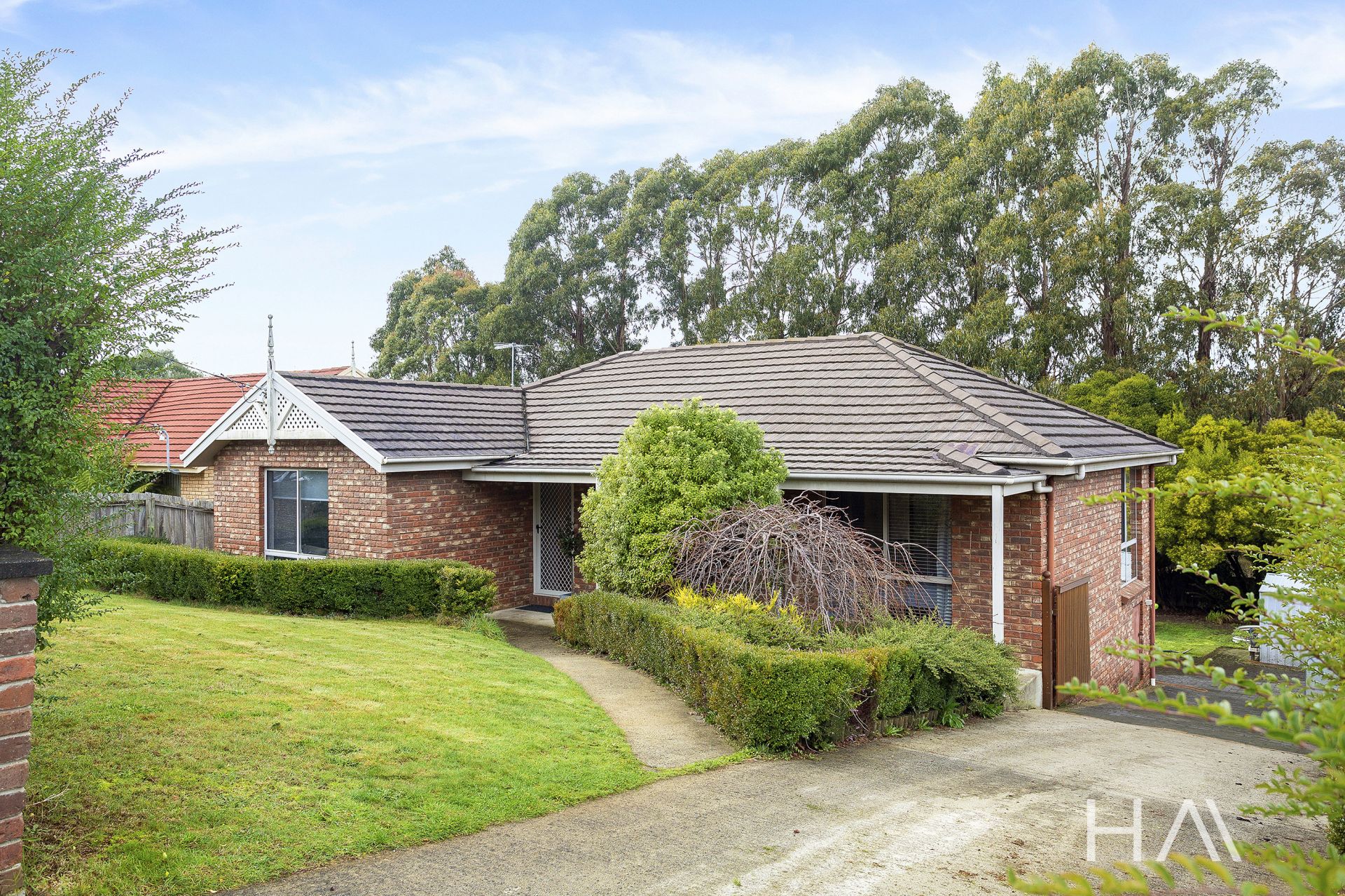 100 Chris Street Prospect Vale, Prospect Vale - Thumbnail 3
