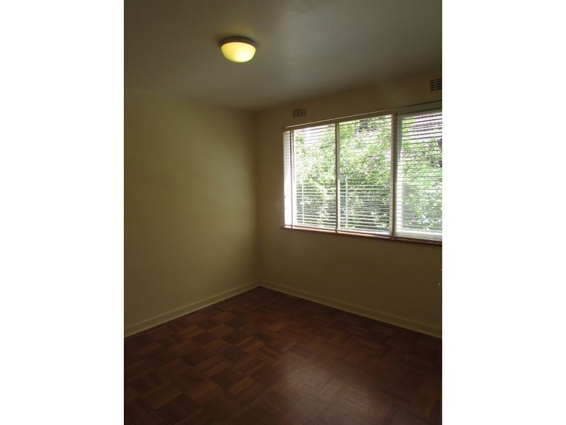 **Spacious and Sunny**
