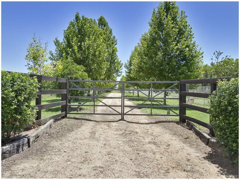 232 Cornwallis Road, Windsor - Thumbnail 6