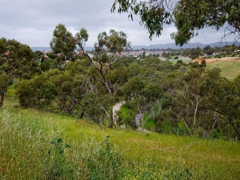 23 Bluestone Drive Walkley Heights 5098