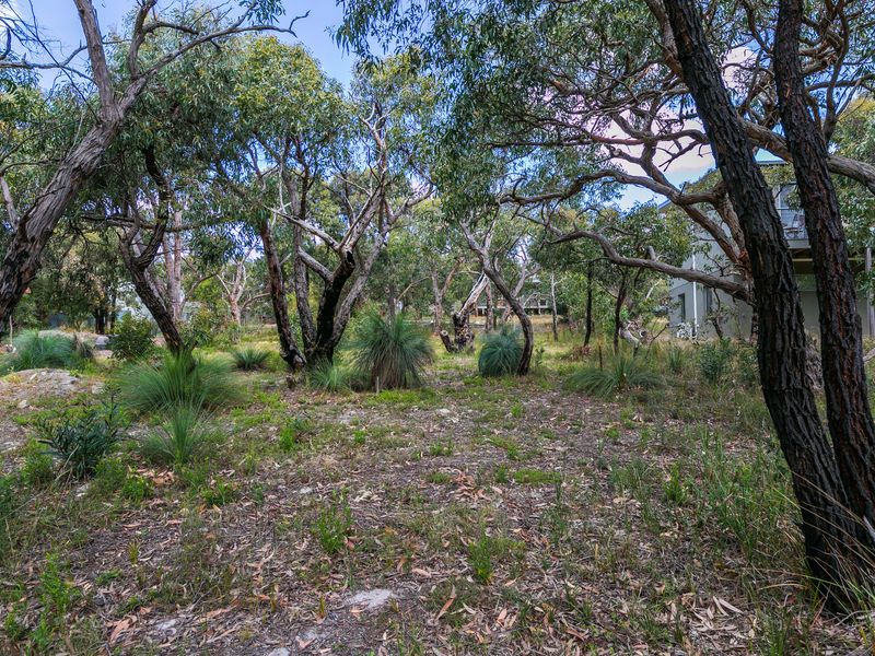 23 Forest Drive, Fairhaven - Thumbnail 4