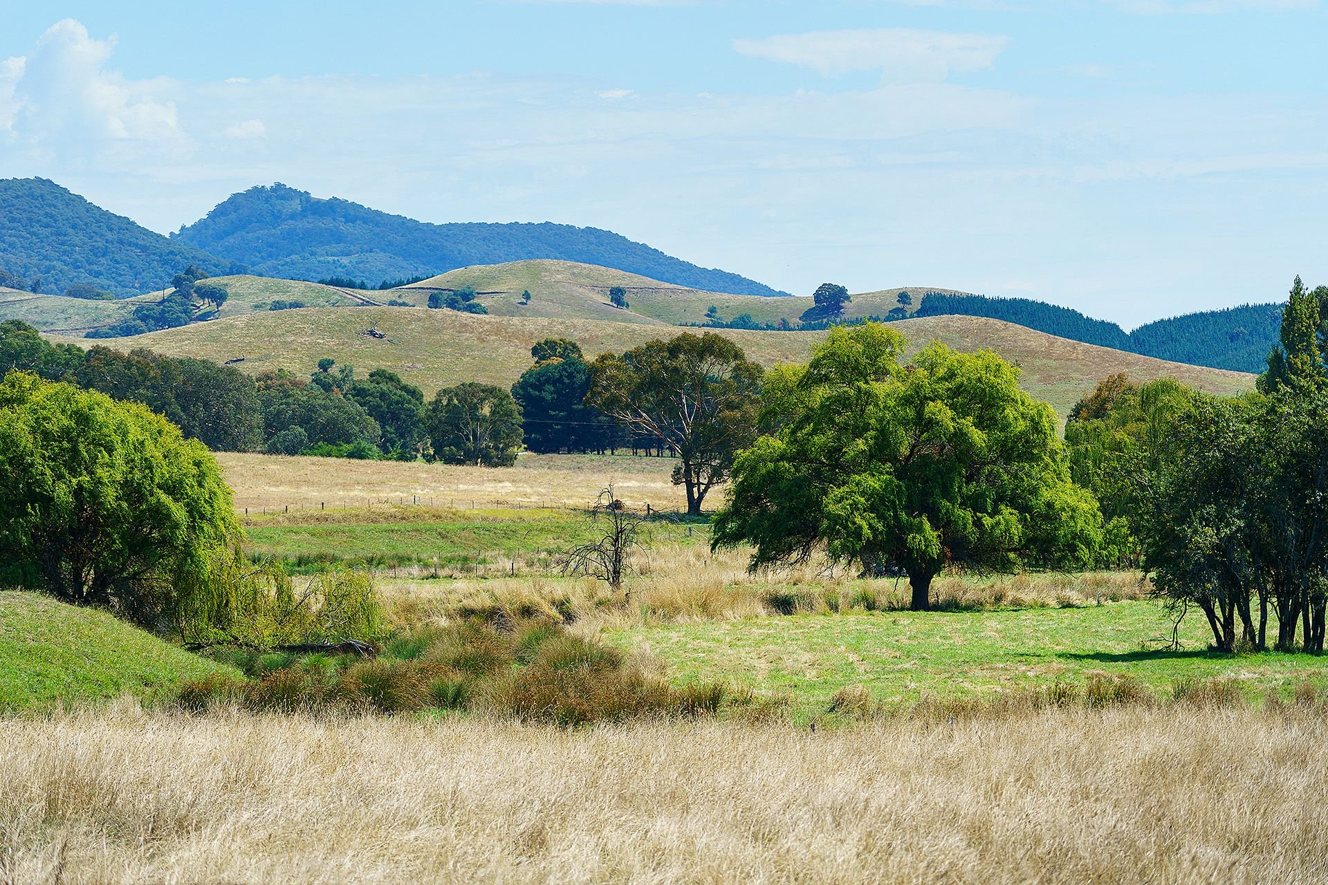 Real Estate For Sale Lot 4S14/ Tallangatta Creek Road Tallangatta
