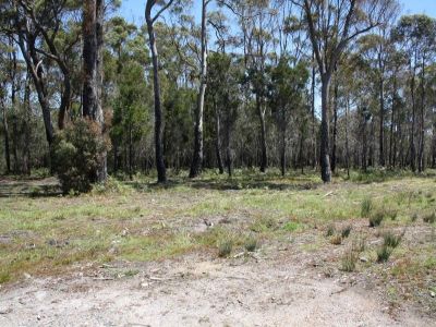 Lot 4 Port Sorell Main Road, PORT SORELL, Port Sorell - Thumbnail 2
