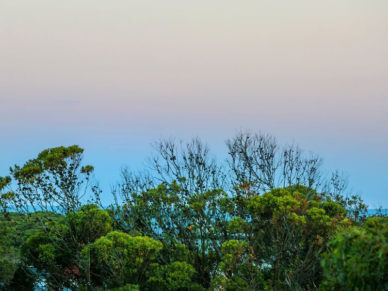 18 Eleventh Avenue, Anglesea - Thumbnail 5
