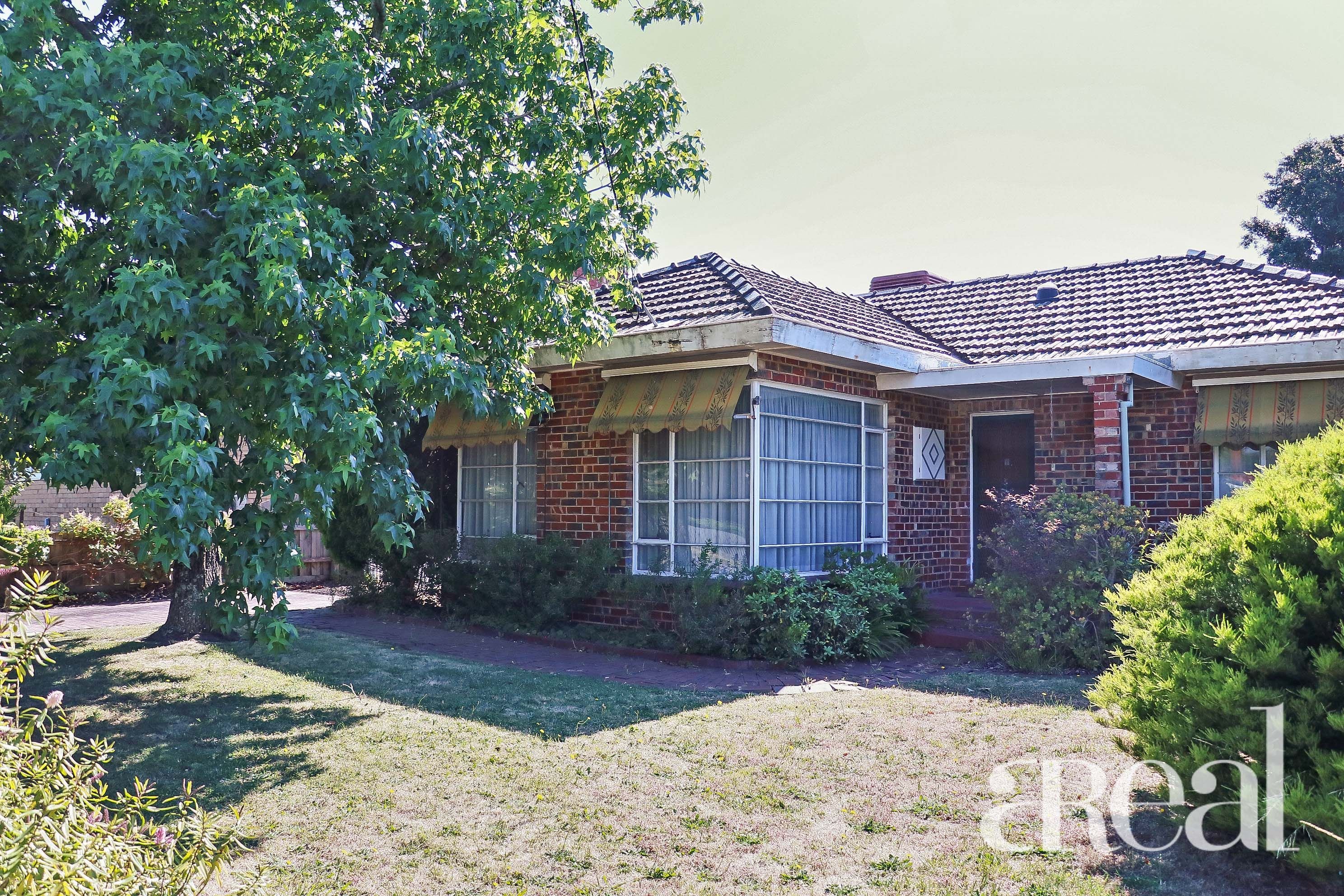 14 Patrick Street, Box Hill North VIC 3129