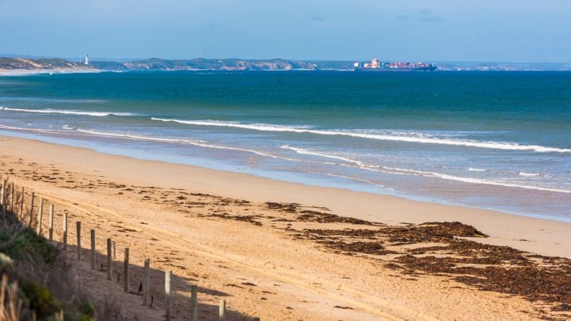 2/3 Platypus Court Ocean Grove VIC, Ocean Grove - Thumbnail 8