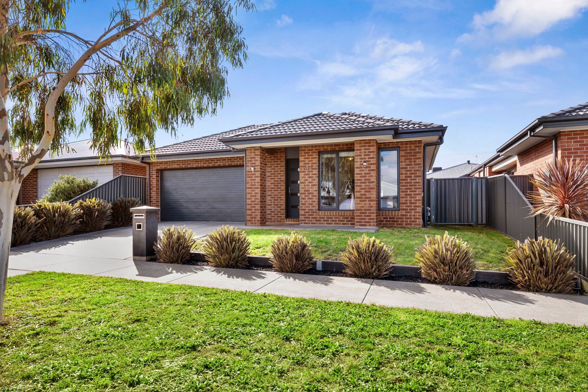 47 Daly Drive, Lucas, Lucas, Lucas - Thumbnail 3