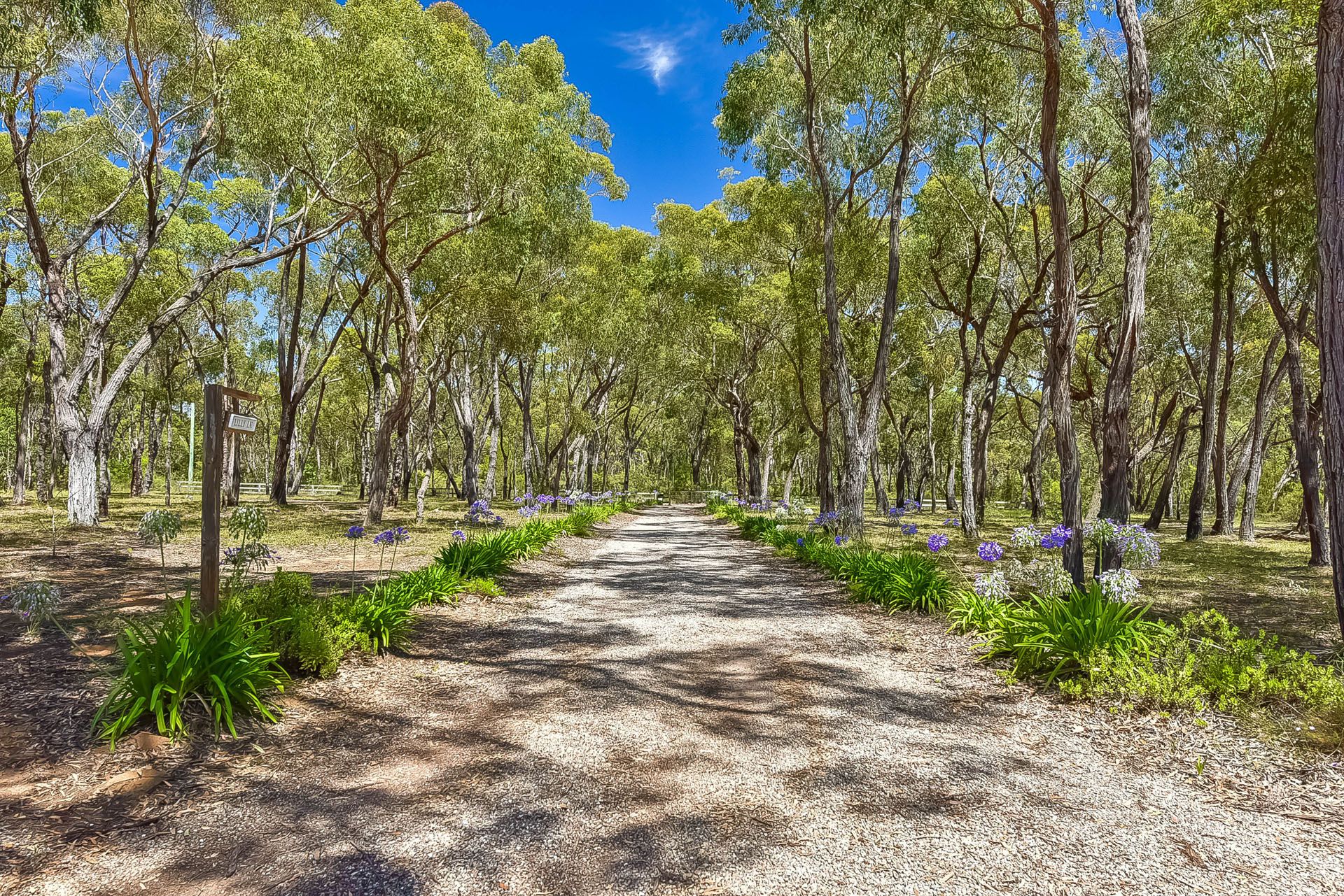 Real Estate For Sale 3 Amy Street Balmoral Village , NSW