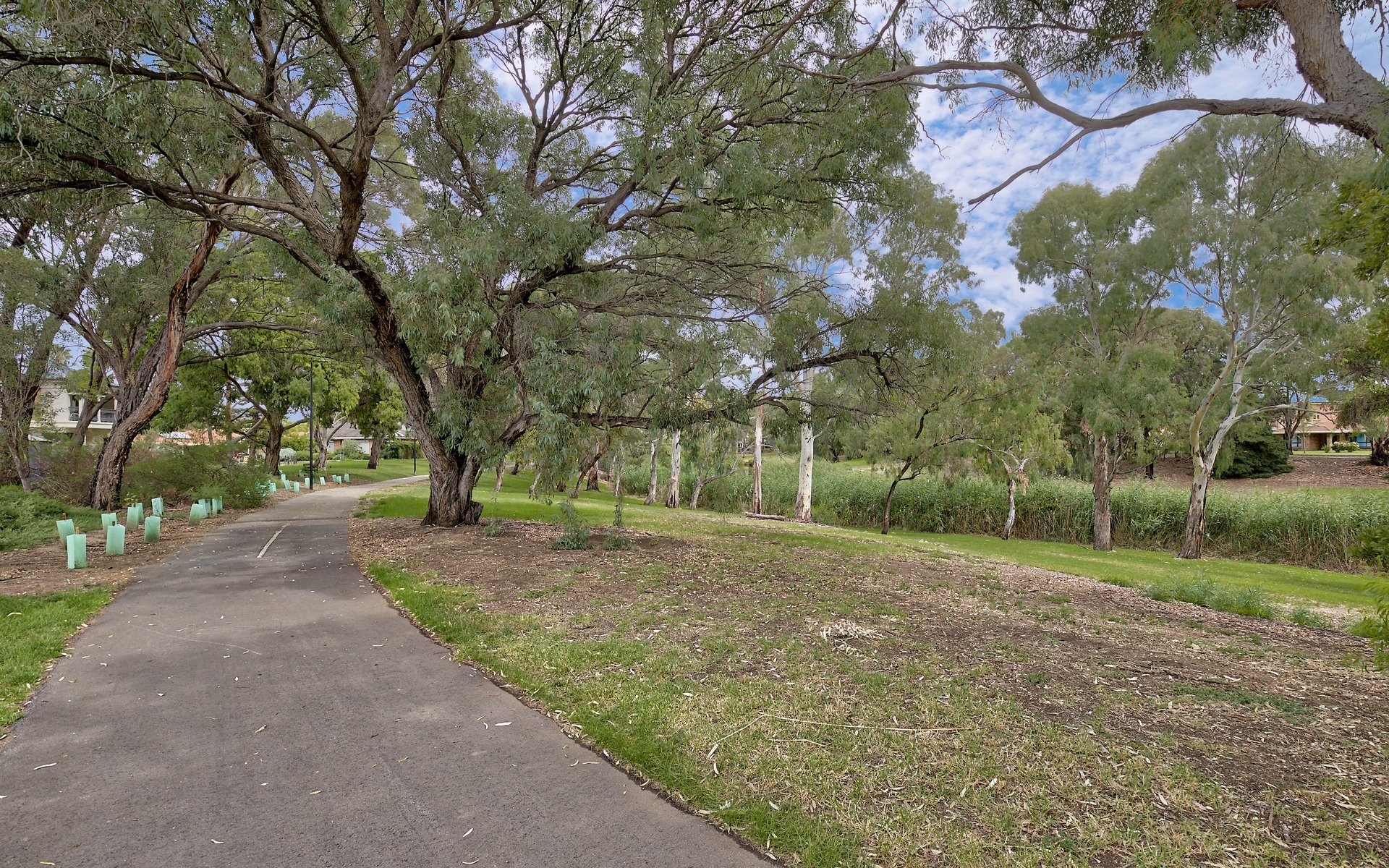 16  Diosma Crescent Lockleys 5032