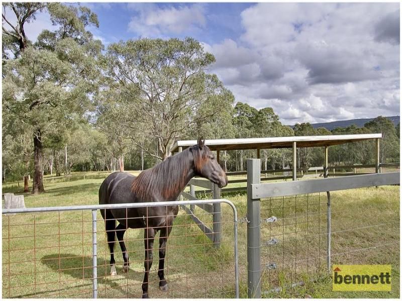 89 Overton Road, Kurrajong - Thumbnail 6