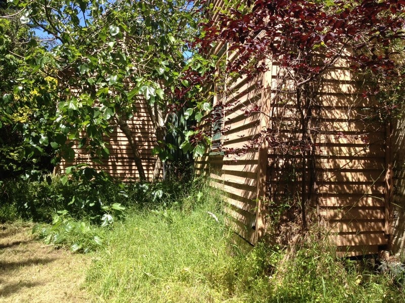 2250 Winchelsea-Deans Marsh Road, Deans Marsh, VIC, Deans Marsh - Thumbnail 3