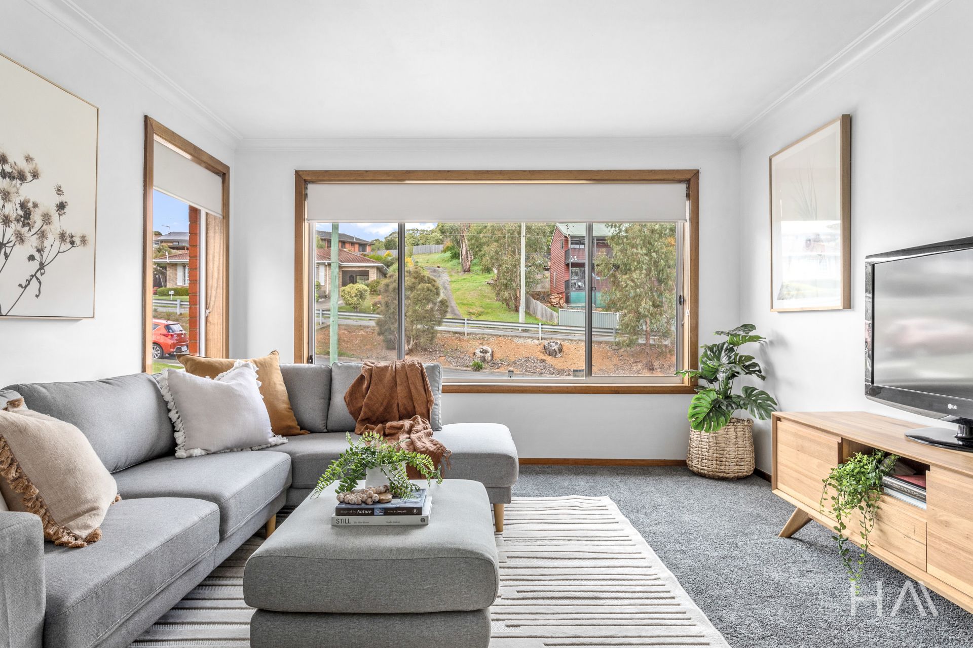 46 Outram Street Summerhill, Summerhill - Thumbnail 5