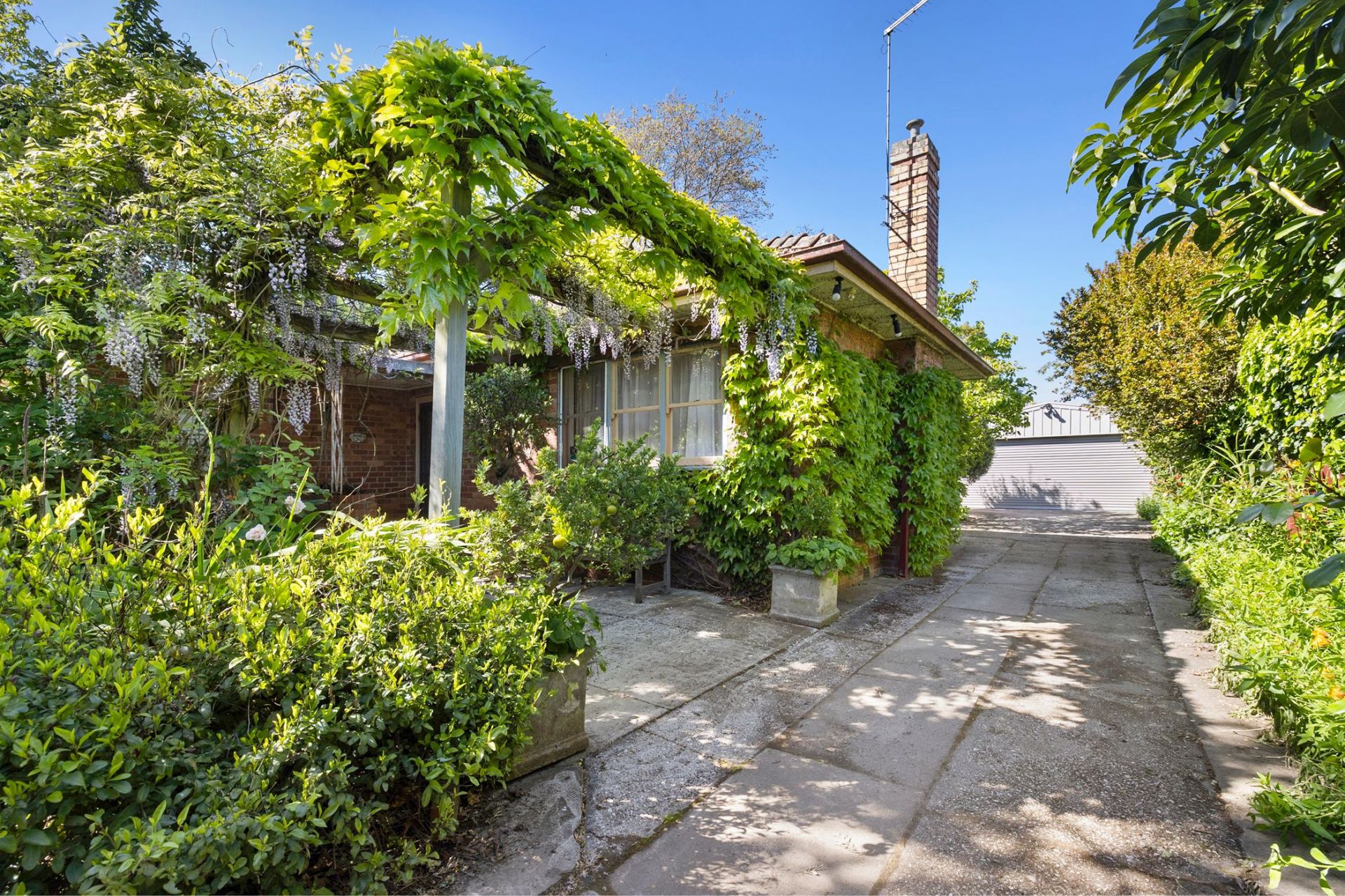 11 Waller Avenue, Newington, Newington - Thumbnail 3