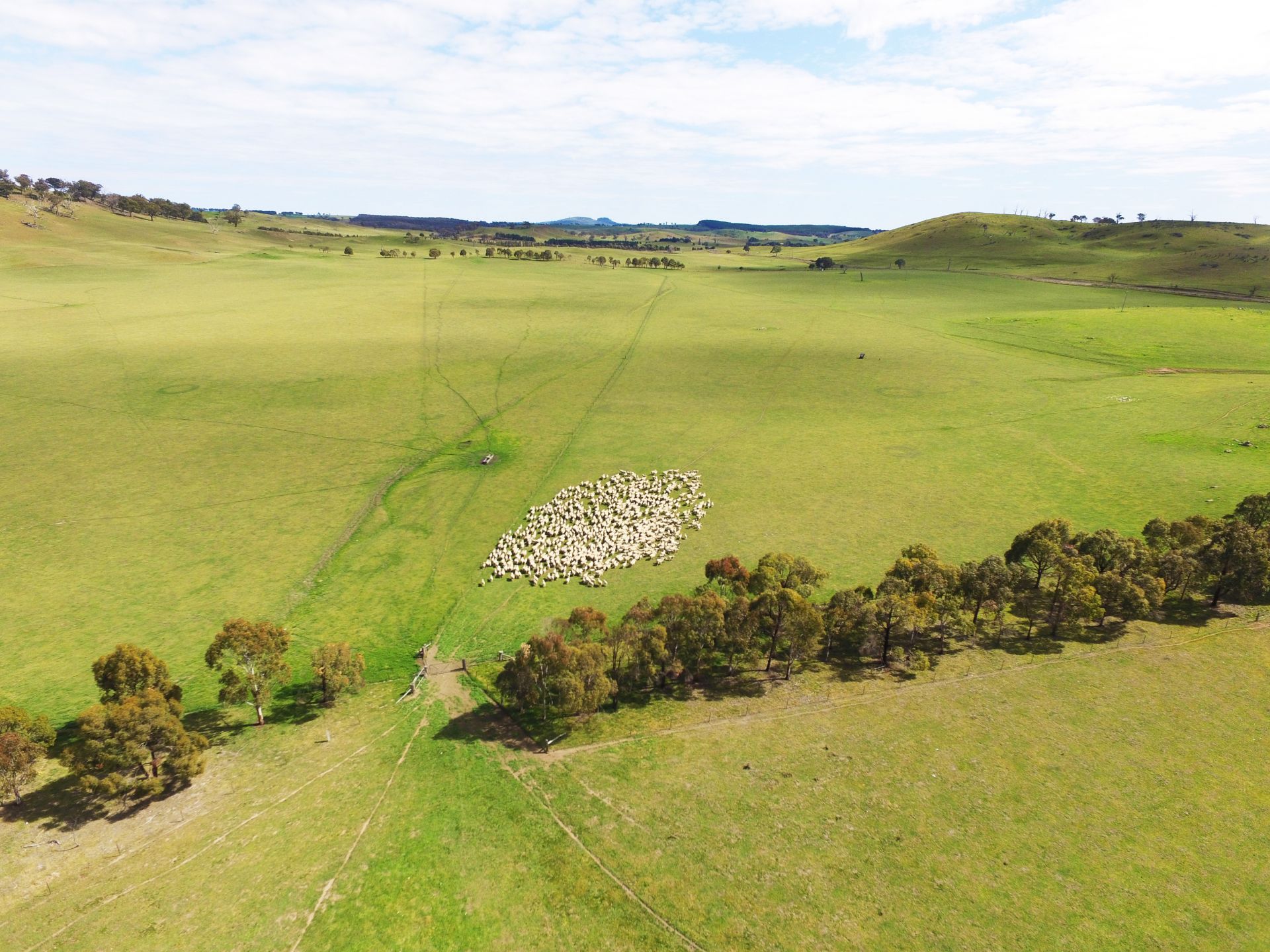 244 Lachlan Road, Bathurst, Bathurst - Thumbnail 8