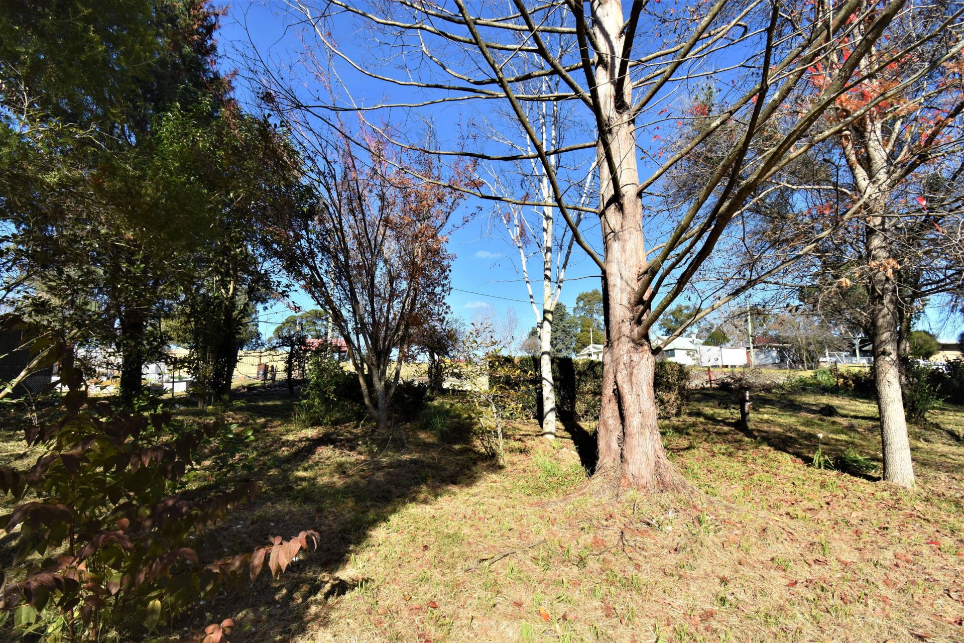 8 Moruya Street QUAAMA NSW, Quaama - Thumbnail 4