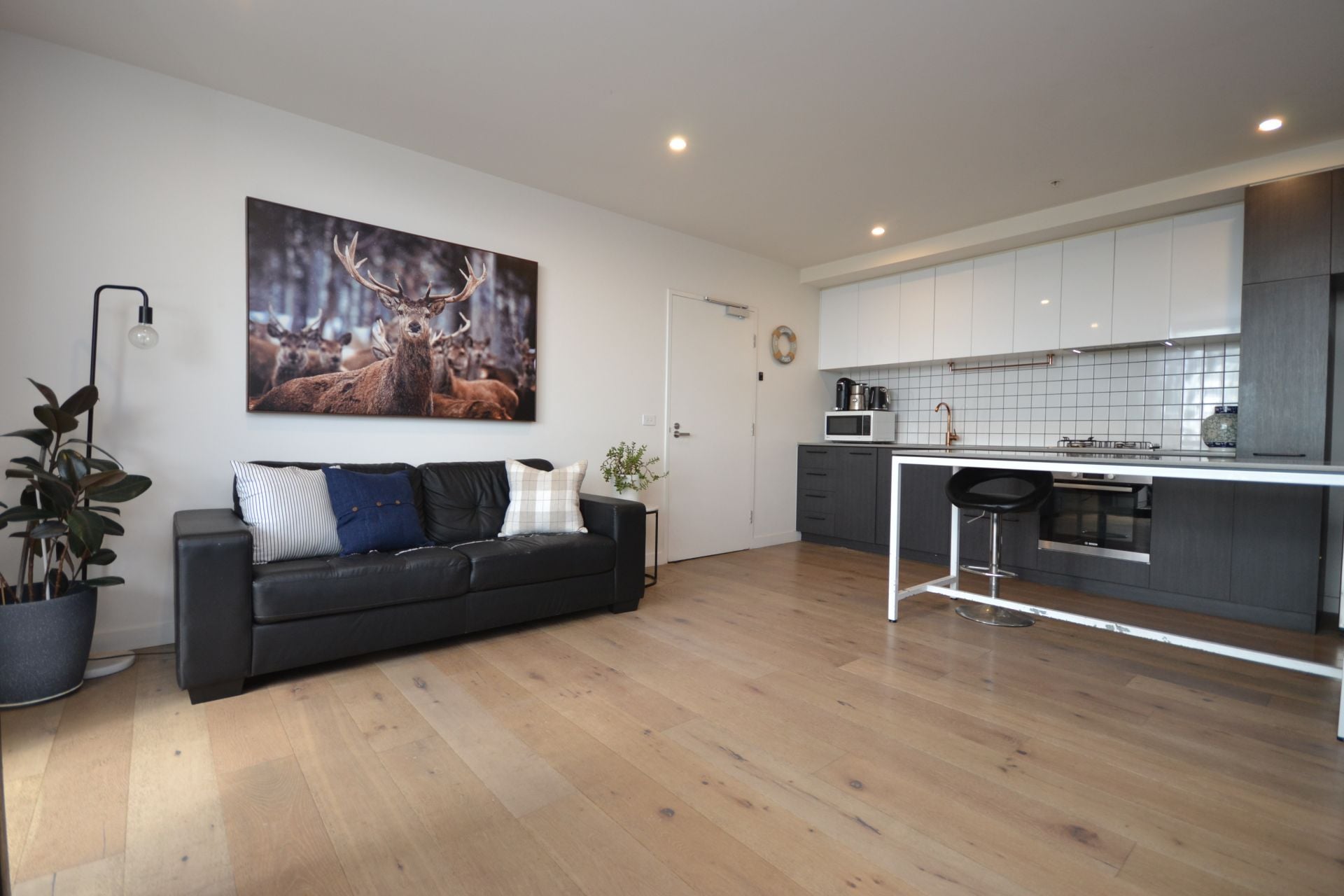 CONTEMPORARY AND CHIC