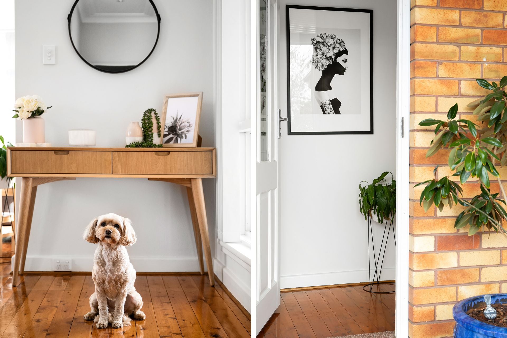 8 Ventura Avenue, Miranda, Miranda - Thumbnail 4