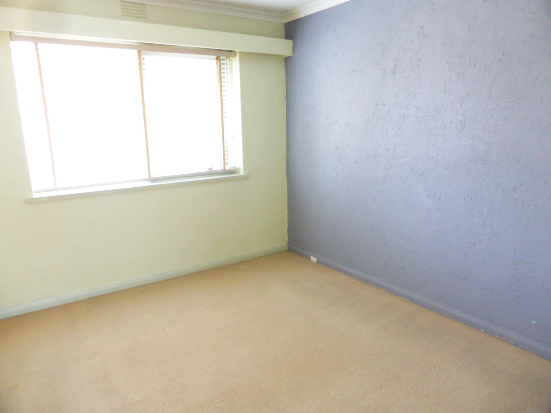 Neat & Tidy First Floor Apartment