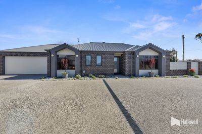 1/1 Sunrise Court, Shearwater, Shearwater - Thumbnail 2