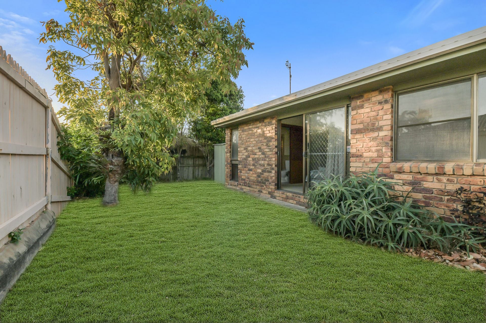 28 Yaringa Avenue Buddina QLD, Buddina - Thumbnail 4