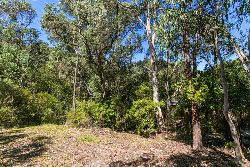 20 Richardson Boulevard, Lorne, VIC, Lorne - Thumbnail 3